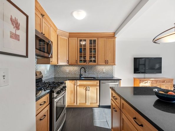 151 Tremont St 10S, Boston MA 02111