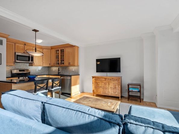 151 Tremont St 10S, Boston MA 02111