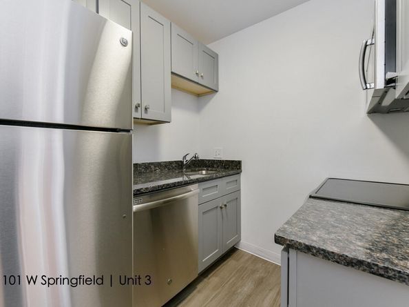 99 + 101 West Springfield St, Boston MA 02118