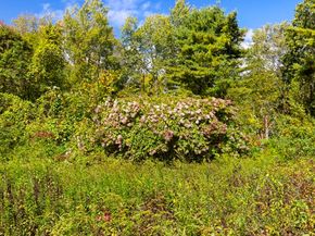 1212 Southbridge Rd, Warren MA 01083
