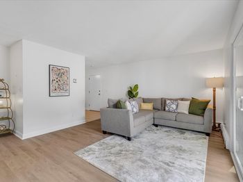 13 Chapel Hill Dr