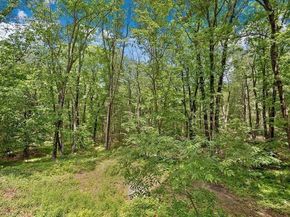 139 Stoney Lea Road, Dedham MA 02026