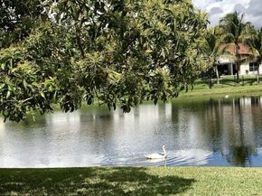 8975 Southern Orchard Rd, Davie FL 33328