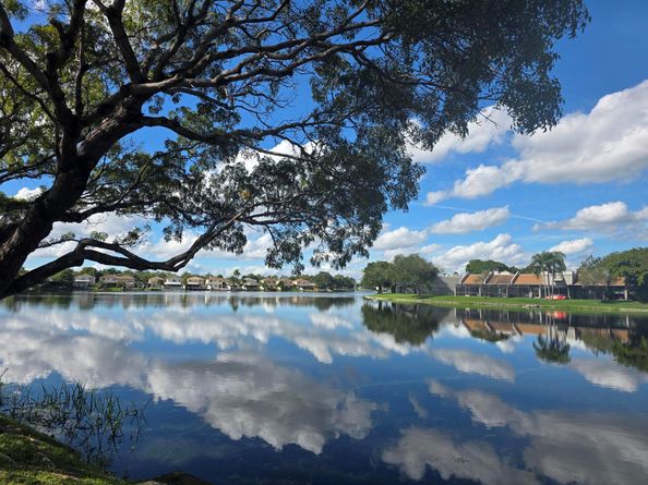 1101 Colony Point Cir 304, Pembroke Pines FL 33026