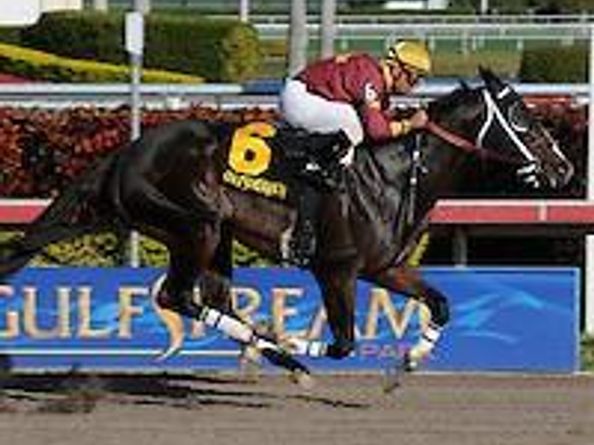 200 NE 14th Ave 521, Hallandale Beach FL 33009