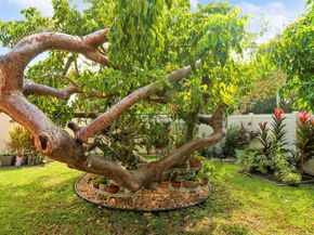 10438 Pippin Lane, Royal Palm Beach FL 33411