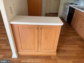 1001 City Avenue E726, Wynnewood PA 19096