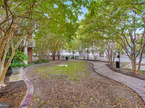 1000 N Randolph Street 806, Arlington VA 22201