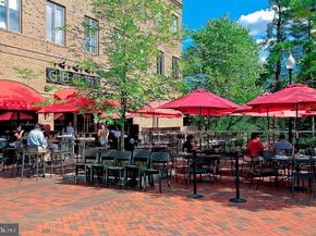 4323 Westover Place NW, Washington DC 20016