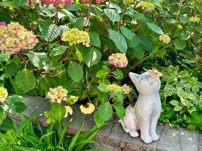 2519 Buckelew Drive, Falls Church VA 22046