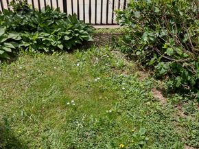 4341 Germantown Avenue, Philadelphia PA 19140