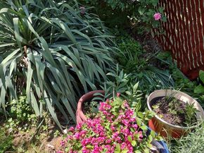 4341 Germantown Avenue, Philadelphia PA 19140