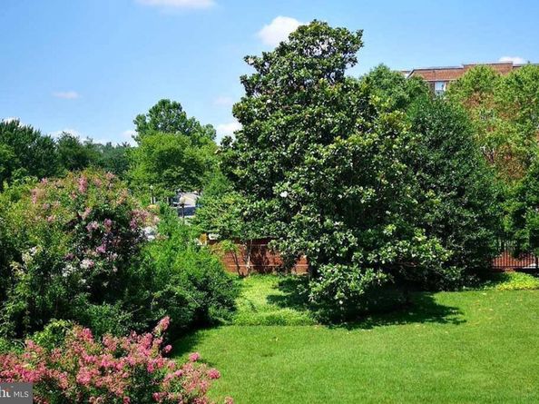 2500 Q Street NW 214, Washington DC 20007