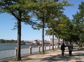 490 M Street SW W101, Washington DC 20024