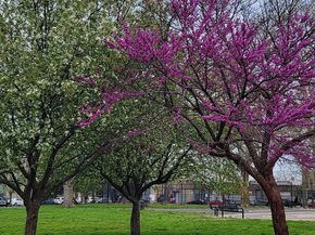 2324 Reed Street, Philadelphia PA 19146