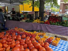 1016 S Wayne Street 302, Arlington VA 22204