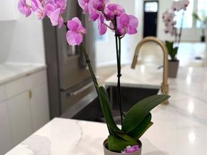 5215 Locust Street, Philadelphia PA 19139