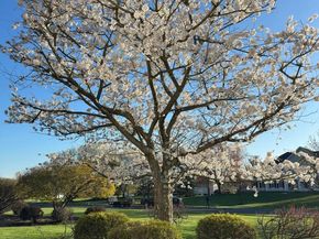 2062 Silverwood Drive, Newtown PA 18940