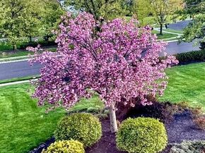 2062 Silverwood Drive, Newtown PA 18940