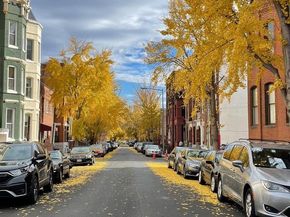 1817 Swann Street NW B, Washington DC 20009