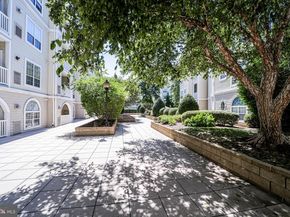 4551 Strutfield Lane 4122, Alexandria VA 22311