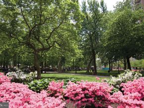 224-26 W. Rittenhouse Square 1410, Philadelphia PA 19103