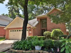 19 Almond Branch Place, The Woodlands TX 77382