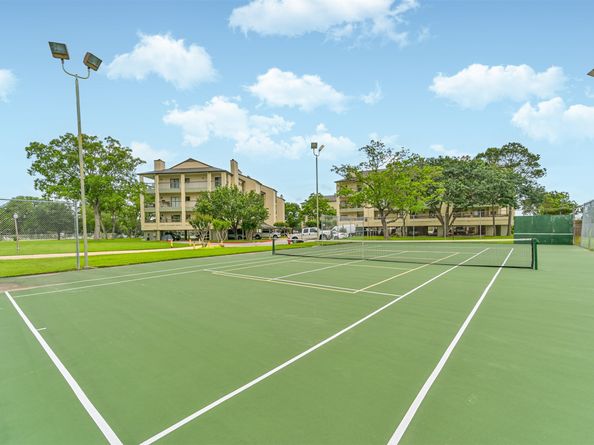 18809 Egret Bay Boulevard 306, Webster TX 77058