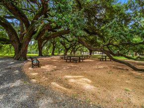 1804 Anita Street, Houston TX 77004