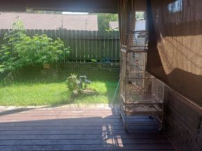 5603 Nina Lee Lane, Houston TX 77092