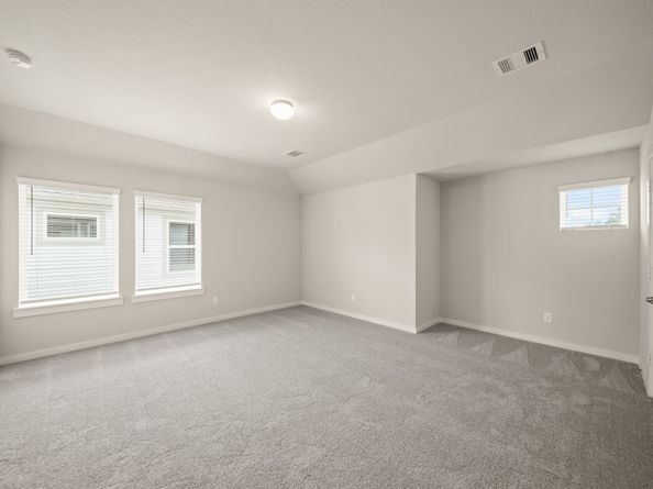 1967 Scarlet Yaupon Way, Conroe TX 77301