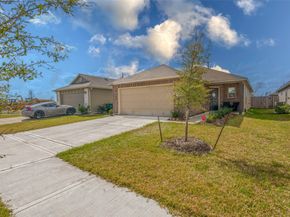 10507 Vinca Minor Lane, Houston TX 77016