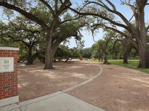 2510 Travis Street 202, Houston TX 77006
