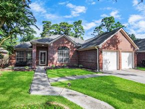 1407 Buchans Drive, Spring TX 77386