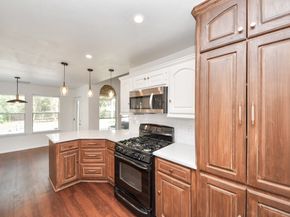 1407 Buchans Drive, Spring TX 77386
