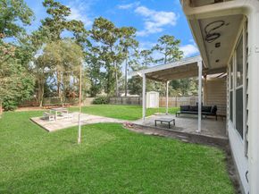 1407 Buchans Drive, Spring TX 77386