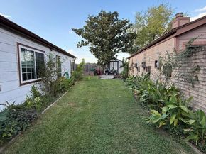 13806 Sheri Hollow Lane, Houston TX 77082
