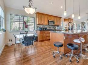 13806 Sheri Hollow Lane, Houston TX 77082