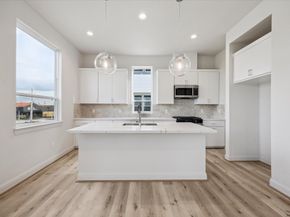 1808 Elysian Street, Houston TX 77026