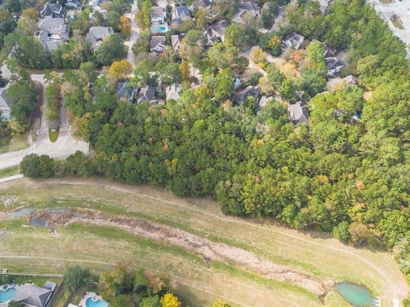 14 N Flickering Sun Circle, The Woodlands TX 77382