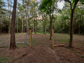 10926 Kaleo Way, Conroe TX 77304