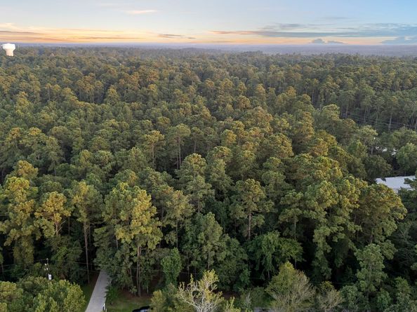 10926 Kaleo Way, Conroe TX 77304