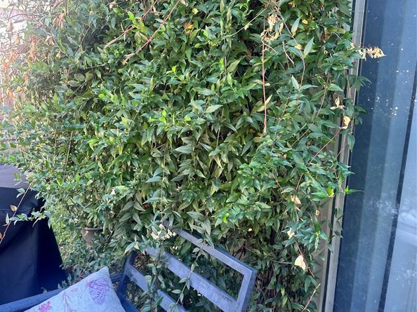 12031 Kleinmeadow Drive, Houston TX 77066