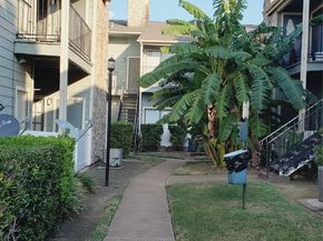 3768 Tanglewilde Street J5, Houston TX 77063