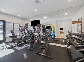 6804 Westview dr, unit 2307 Drive 2307, Houston TX 77055