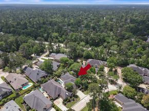 59 Eagle Mead Place, The Woodlands TX 77382