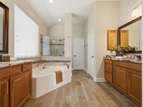 18619 Navarro Branch Drive, Cypress TX 77433