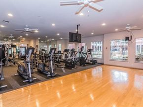 2400 Mccue Road 118, Houston TX 77056