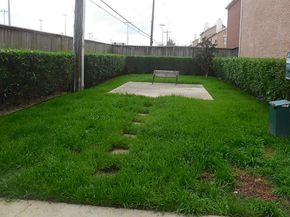 3501 Link Valley Drive 1004, Houston TX 77025