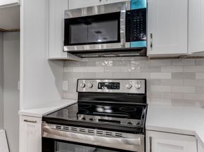 5535 Elm Springs Drive, Houston TX 77048